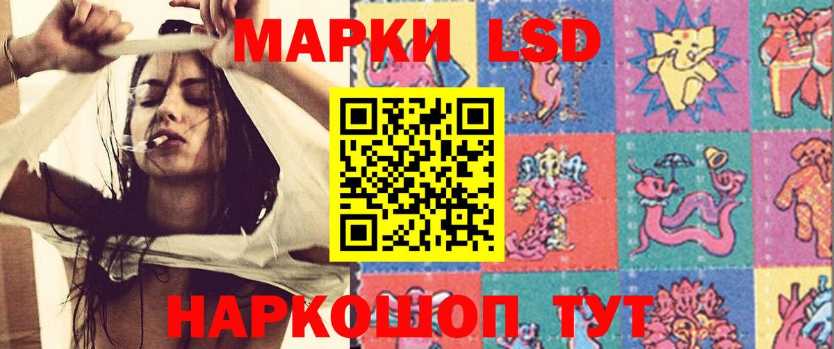 МЕФ Петрозаводск
