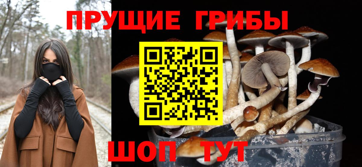 Псилоцибиновые грибы мухоморы  Галлюциногенные грибы Psilocybe  Вход с VPN  Петрозаводск 